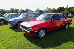GDOFC-2026-Peugeots-c
