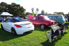 GDOFC-2026-Peugeots-f