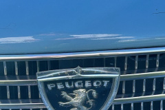 IMG_3376