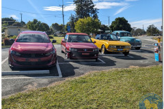 1_Pugwheelin-4-Rathdowney-3