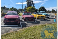 Pugwheelin-4-Rathdowney-3