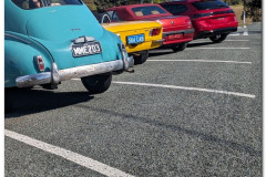 Pugwheelin-4-Rathdowney-4-Bum-shot-2