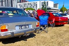 Peugeot-rears-15.06.25
